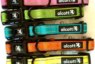 Protecting Your Pet is Easy with Reflective Collars, Coats and Leashes