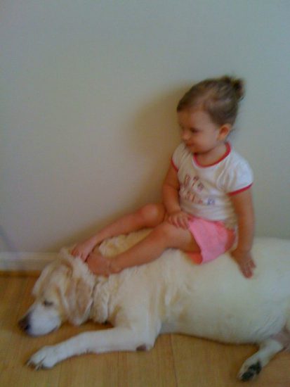 Little girl sitting happily on the back of a golden retriever.