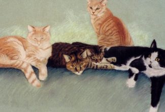 Pet Artwork by Bernadette Kazmarski