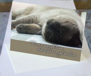 Pet Sympathy Cards by Bernadette often feature beautiful cat photography