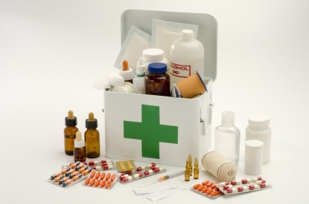 Pet First Aid Kit for National Pet Disaster Preparedness