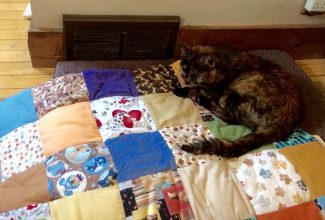 Cats rule over dogs, and Peanut Butter proves it by staking out her territory on Soldier's dog quilt.