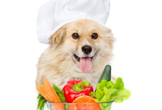 Dog chef with fresh vegetables and fruits