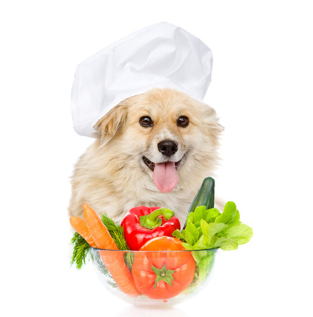Dog chef with fresh vegetables and fruits