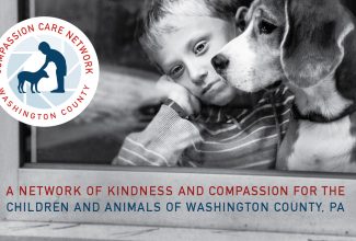 The Compassion Care Network protects the children and pets in abuse situations, finding them loving, stable homes.