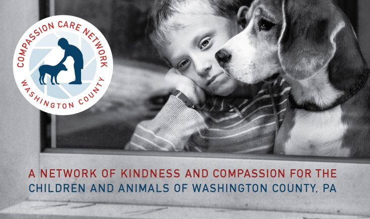 The Compassion Care Network protects the children and pets in abuse situations, finding them loving, stable homes.