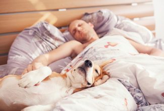 Nine great reasons for sleeping with dogs or pets
