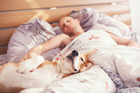 Nine great reasons for sleeping with dogs or pets