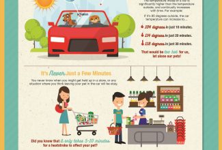 Don't leave your pet locked in car this summer. Even a few minutes is too long!