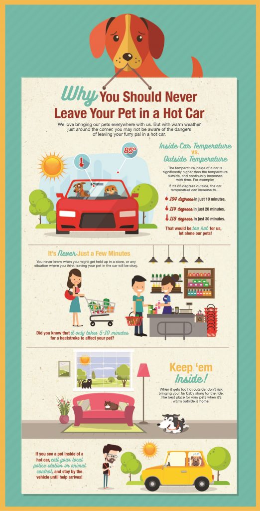 Don't leave your pet locked in car this summer. Even a few minutes is too long!