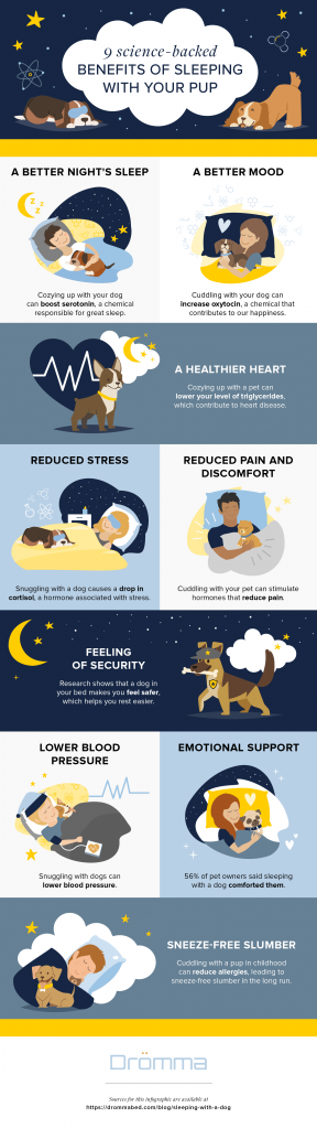 Nine reasons why sleeping with dogs is a good idea.