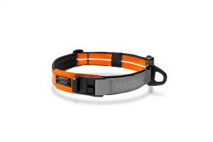 MAGDOG Collar in bright orange