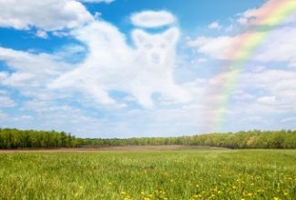 loss of a pet rainbow bridge cloud dog