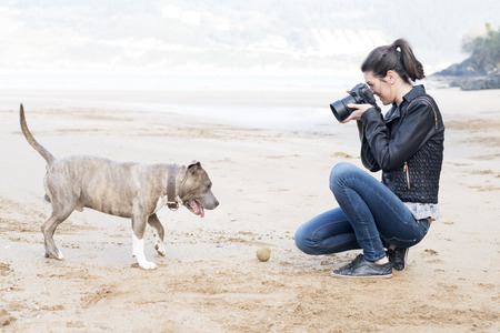 How to Take Great Pictures of Your Pet