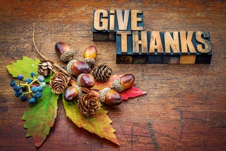 Give Thanks with leaves and berries on wood; be thankful