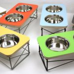 Raised pet bowls top the must have list of many senior dogs and cats.