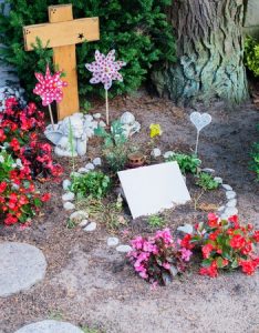 Disposing of a pet's body is often easier in rural areas, where burying in the back yard is possible.