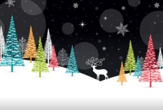 Happy Holidays!