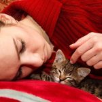 Include your pets in the holiday festivities - including cat naps when needed!