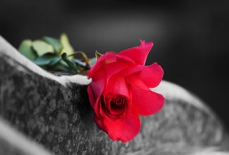 Disposing of a pet's body properly
