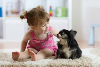 https://www.pettravelstore.com/breathable-carrier-crate-pads/