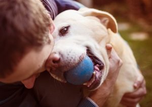 Color blind dog with blue ball